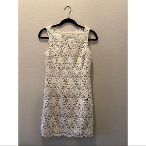 Ann Taylor ivory dress